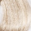 Ash Platinum Blond 10.1