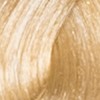 Gold Platinum Blond 10.3