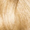 Gold Very Light Blond 9.3